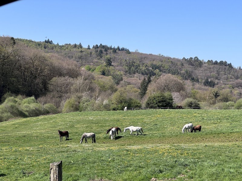 Les Ecuries De La Prade - photo 3