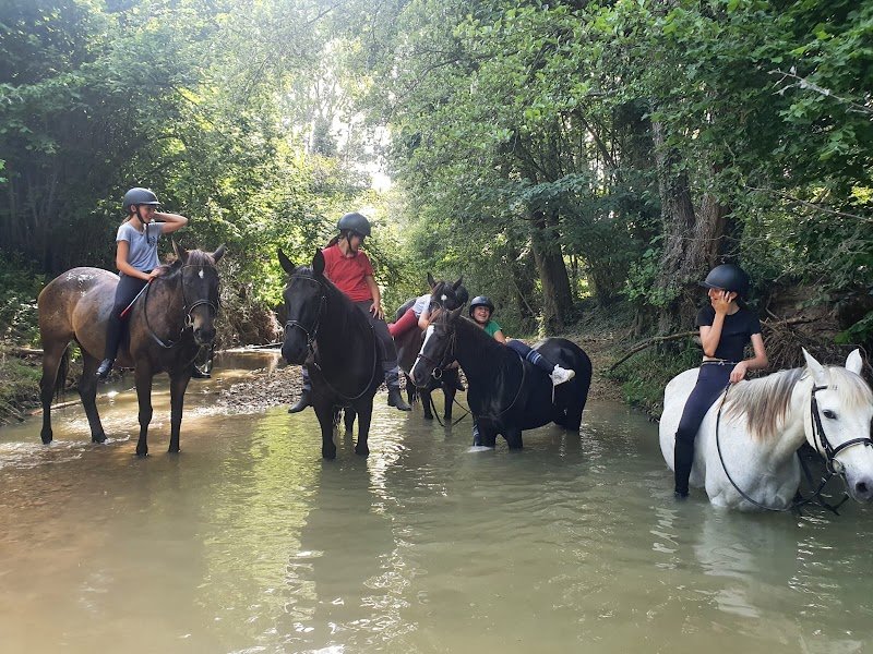 Les Ecuries de la Citadelle - photo 1