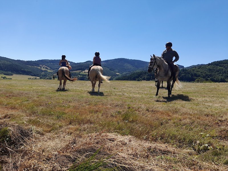 Les Ecuries Vaillant - photo 2