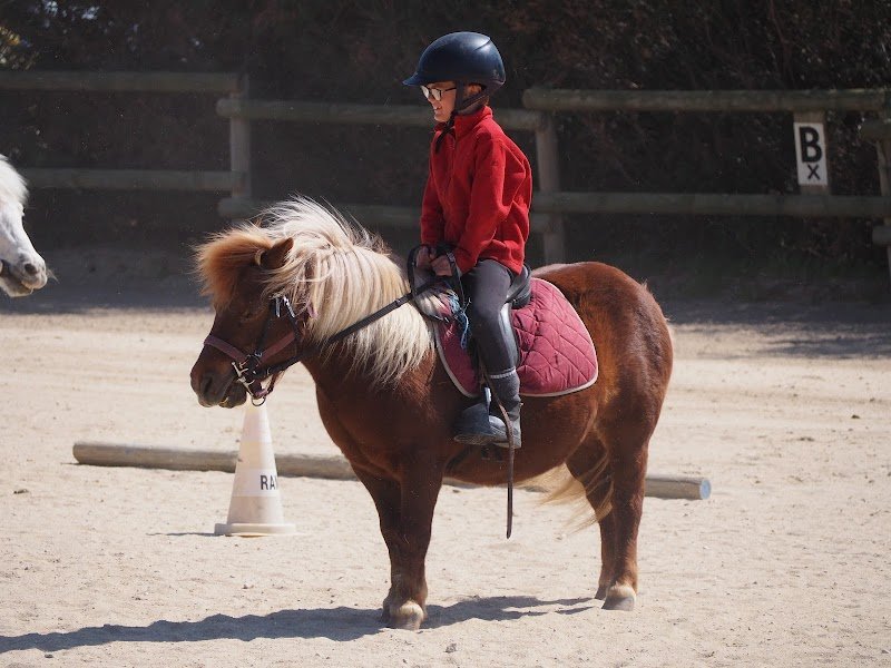 Les Ecuries Vaillant - photo 3