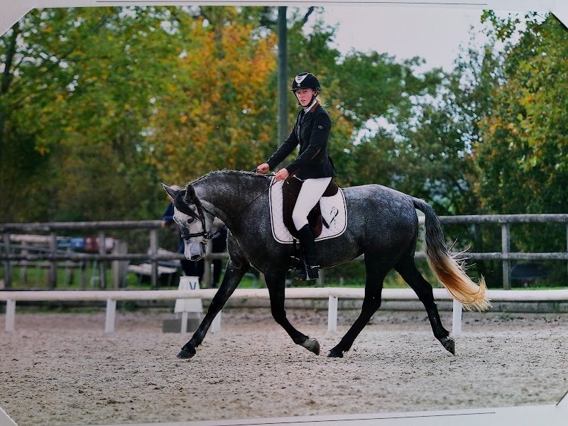 Ecurie de Saint Paul - photo 2