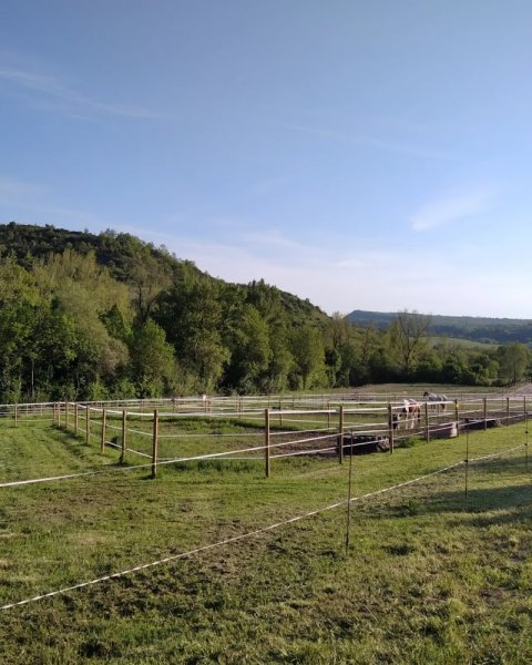 Ecurie de Saint Paul - photo 3