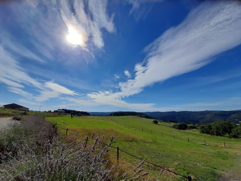 ECURIE LE VAL DE BRUME - photo 3