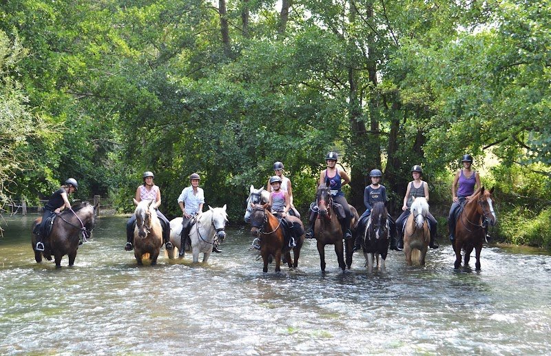 Les Écuries de Saint Victor - photo 2