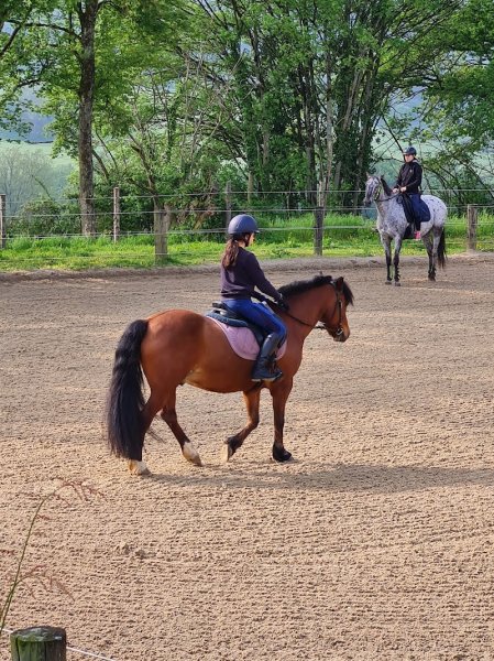 Les Écuries de Saint Victor - photo 3