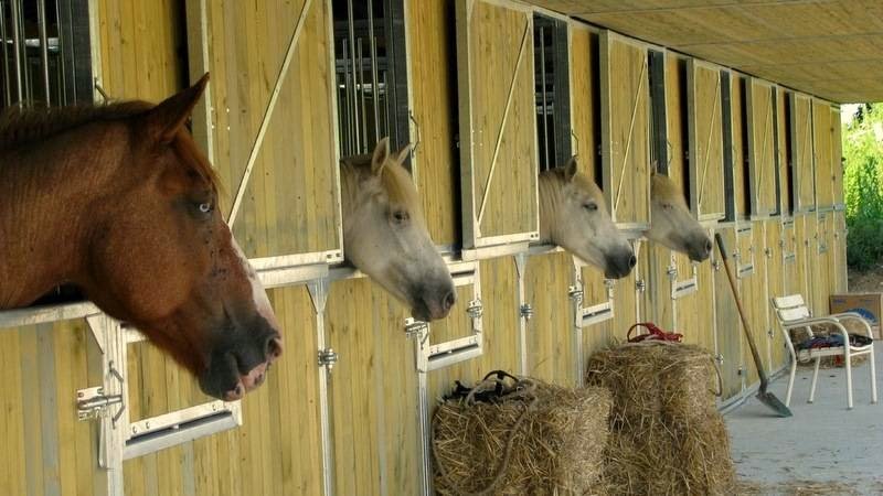 Ecurie de propriétaire du Manège de Javolière - photo 2