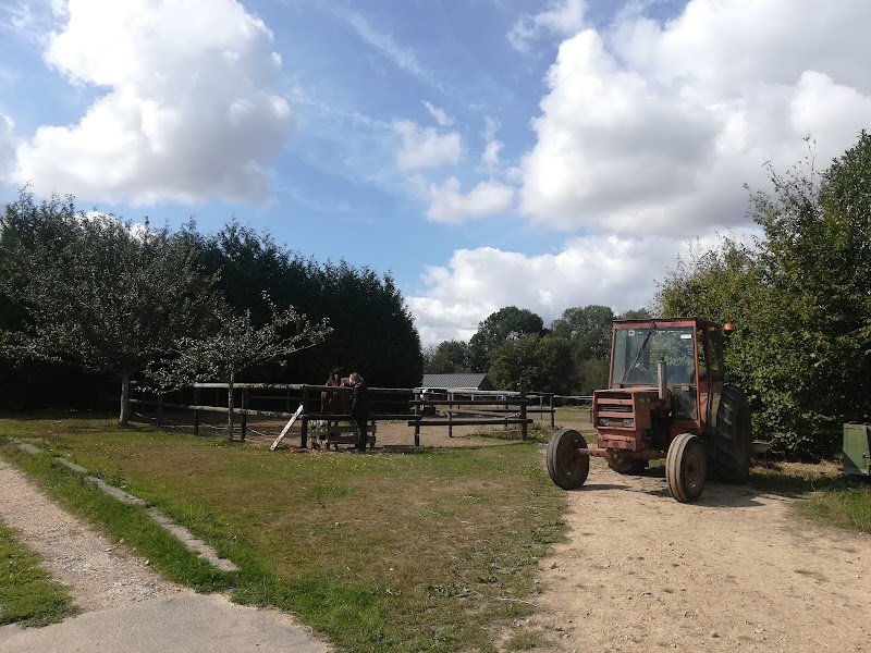 Gîte Les chevaux de Saint Victor et Centre équestre - photo 3