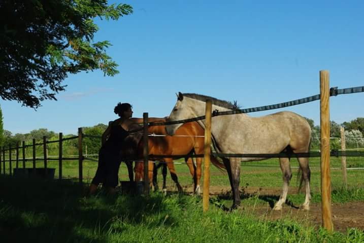 Pension Ecurie Victoria - photo 1