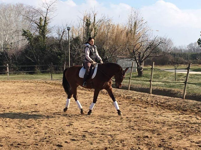 Pension Ecurie Victoria - photo 2