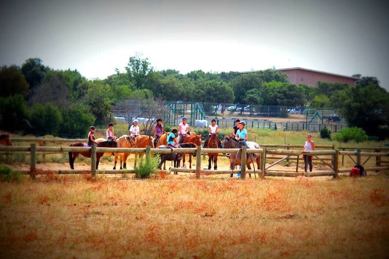 Centre Equestre Mejannes le Clap - photo 3