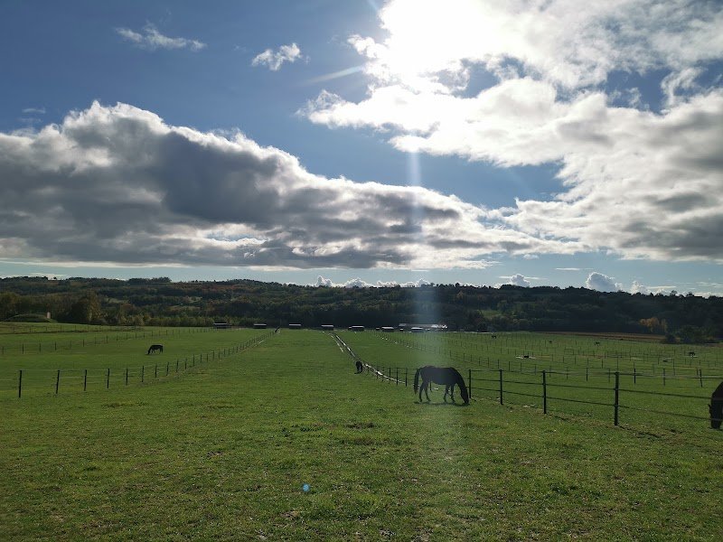 Ecurie des Dames - photo 3