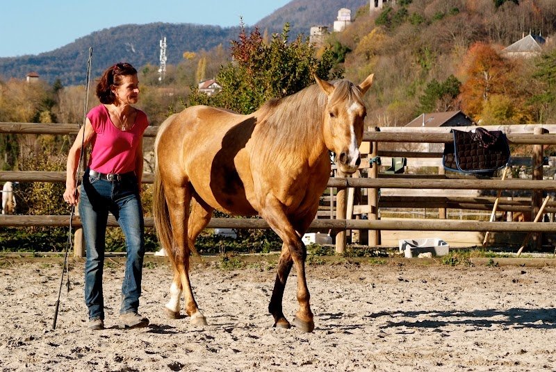 Ecuries St Vincent - photo 2