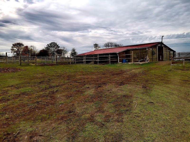 L' Estable del Ega - photo 1