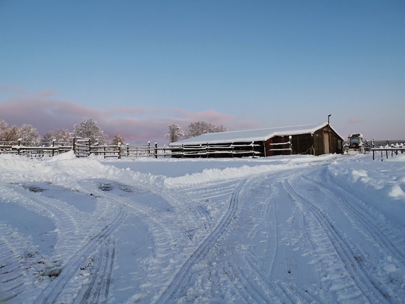 L' Estable del Ega - photo 2