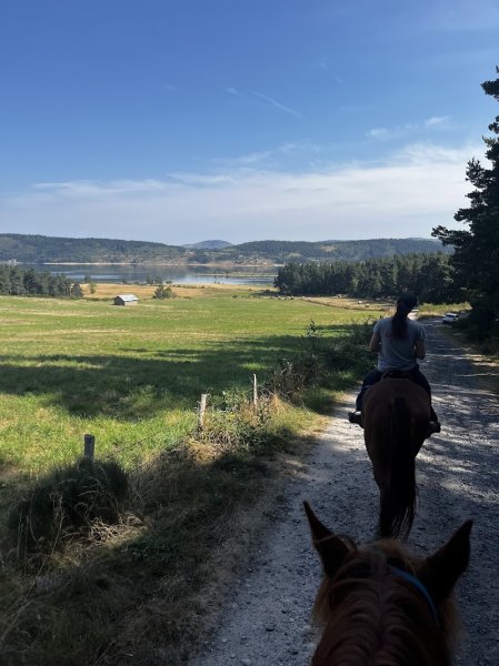 Les Ecuries de Palhères