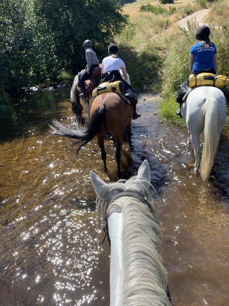 Les Ecuries de Palhères - photo 3