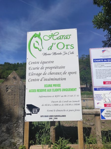 Haras d'Ors - photo 2