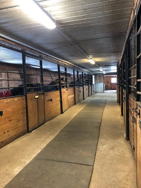 Centre équestre Mirabel - photo 2