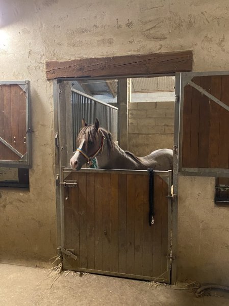 Écurie des Prés Hauts