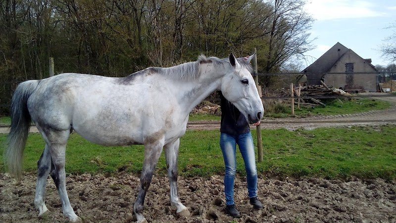 DES ECURIES DE SAINT GERMAIN DES PRES - photo 1