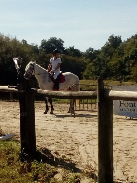 DES ECURIES DE SAINT GERMAIN DES PRES - photo 2