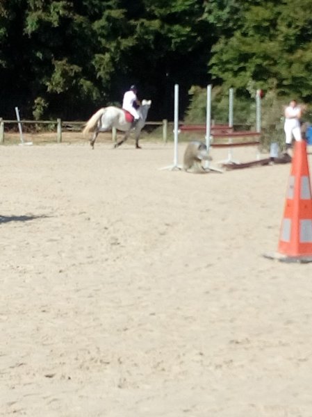 DES ECURIES DE SAINT GERMAIN DES PRES - photo 3