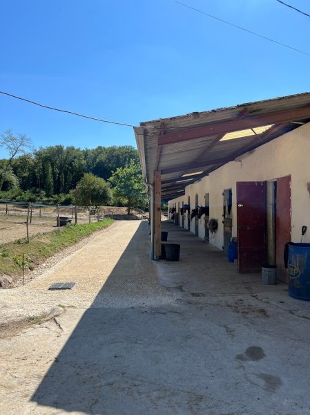 Ecurie de St Germain - photo 2