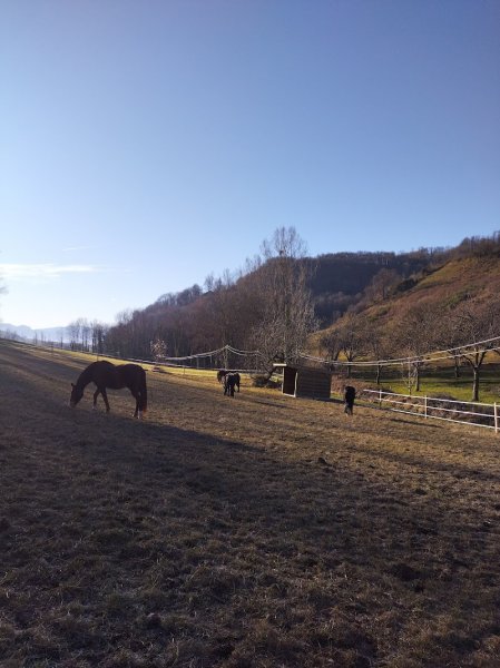 Les Ecuries CPS - photo 1