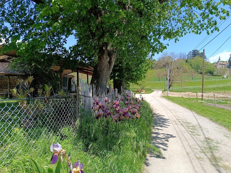 Les Ecuries CPS - photo 3