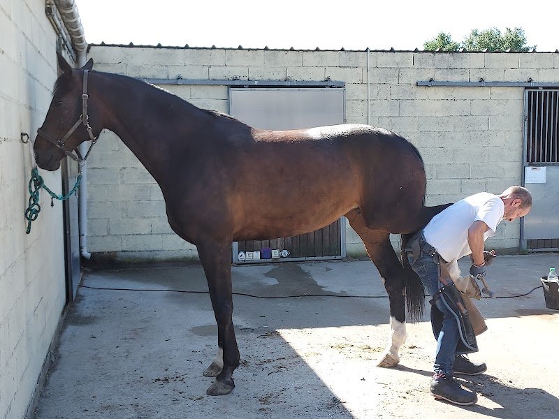 Ecurie de la Champagne - photo 3