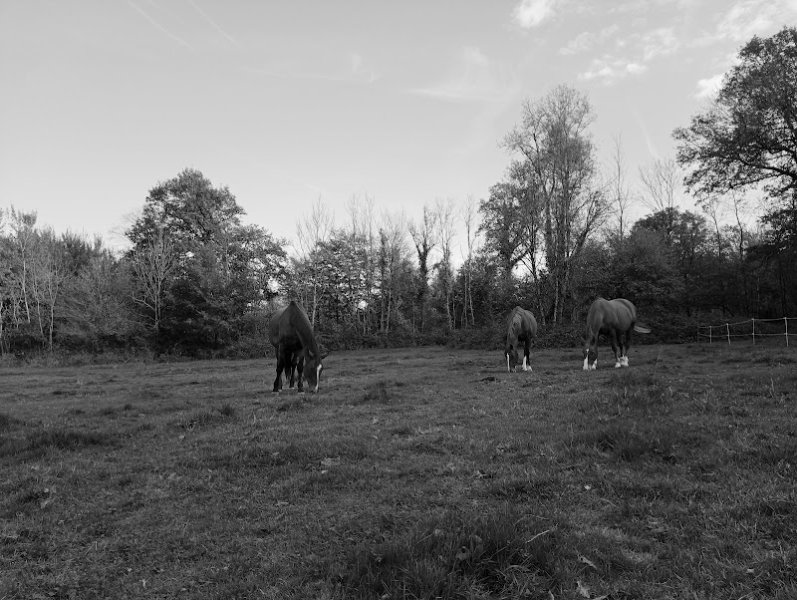 Les Écuries de la Blandinerie