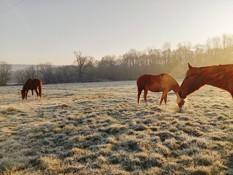 Les Écuries de la Blandinerie - photo 2
