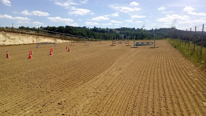 Gaec Villeneuve / Les chevaux du Mialet - photo 1