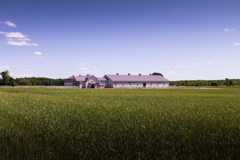 Les Écuries Santos - photo 3