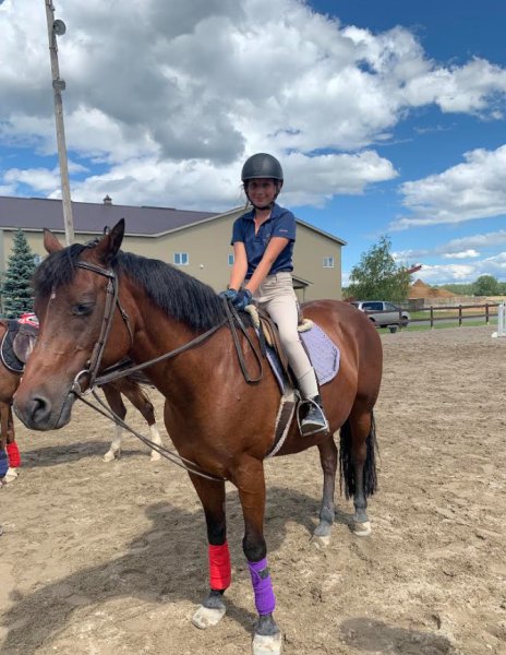 Les Écuries la Montée - photo 1