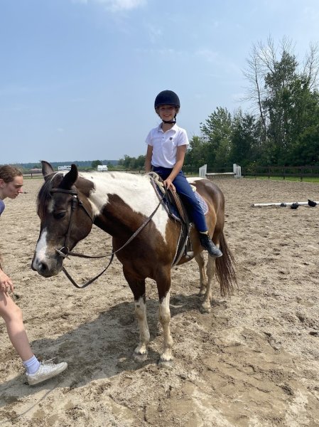 Les Écuries la Montée - photo 2