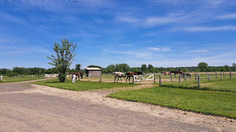 Les Écuries la Montée - photo 3
