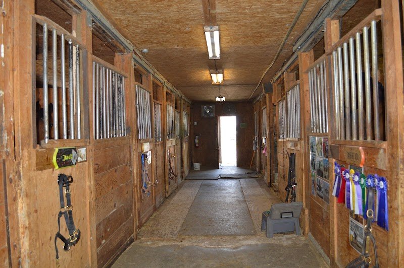 Centre Equestre Belle Rivière