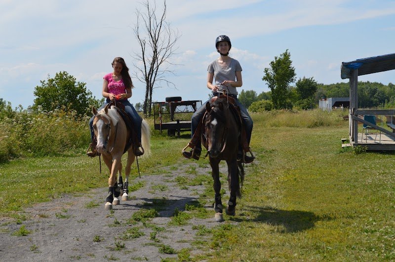 Centre Equestre Belle Rivière - photo 2