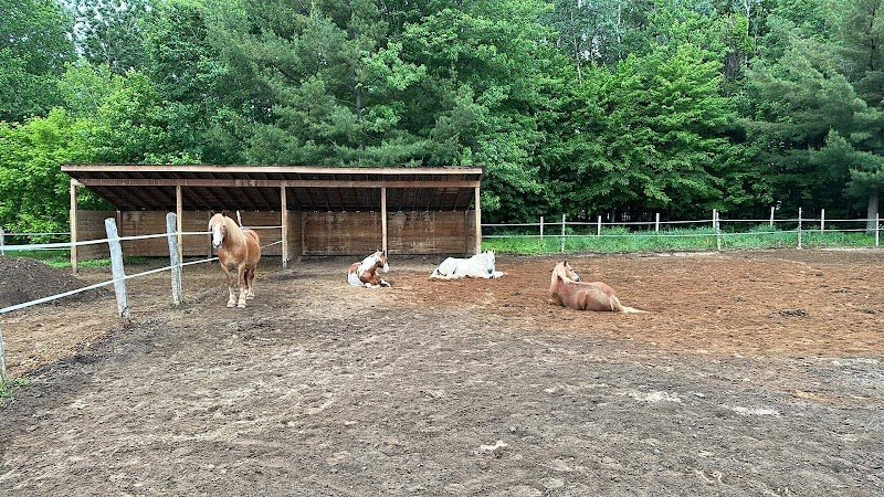 Centre Équestre Chez Val Inc. Aucune location de cheval - photo 2