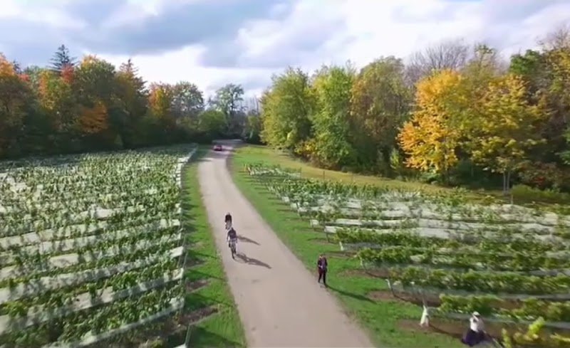 Les Écuries De Senneville - photo 2