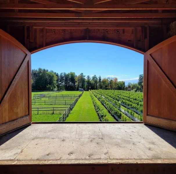 Les Écuries De Senneville - photo 3