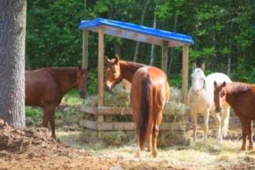 Le Domaine Équestre Gaïa - Centre équestre, pension pour chevaux