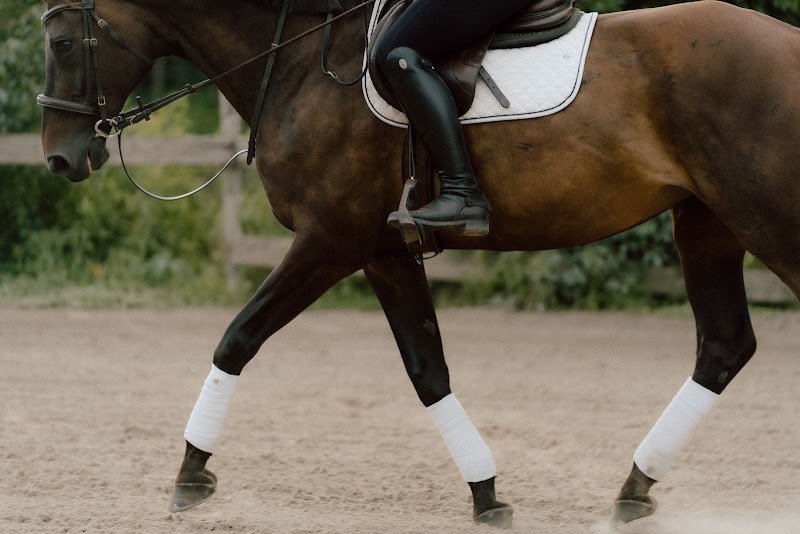 Centre Équestre Bonanza inc - photo 1