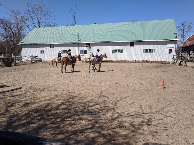 Centre Équestre Bonanza inc - photo 2