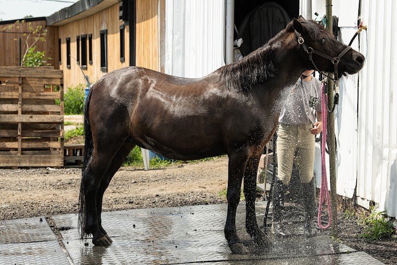 Écurie Kanp - photo 3