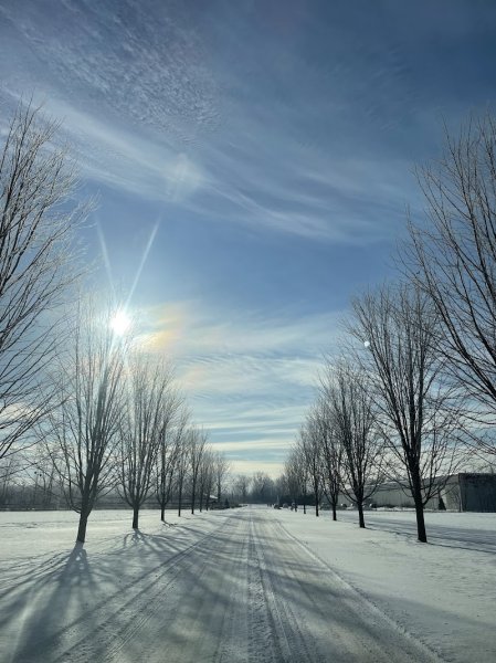 Ecuries Riverview (Les) - photo 1