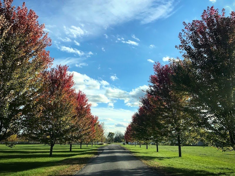 Ecuries Riverview (Les) - photo 2