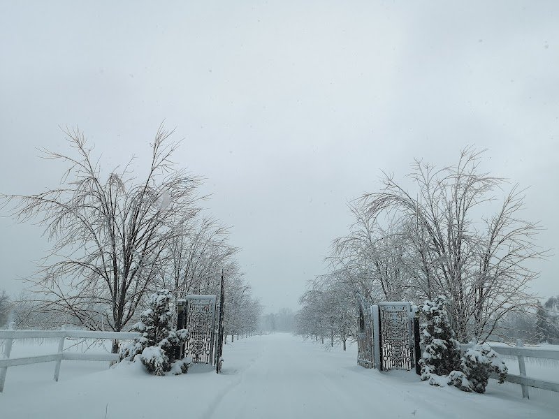 Ecuries Riverview (Les) - photo 3