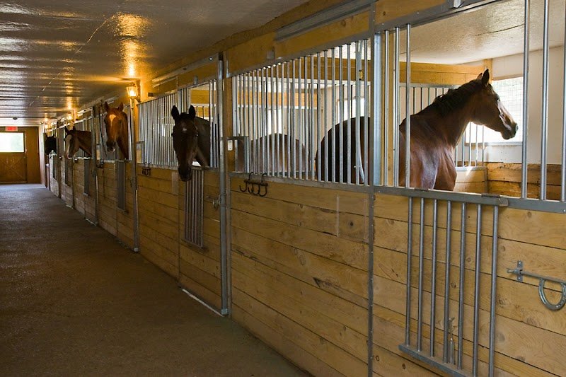 Écuries St-François Stables - photo 3